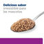 156 g Hill's Prescription Diet Thyroid Care y/d Pollo lata para gatos, , large indicador imagen numero 7